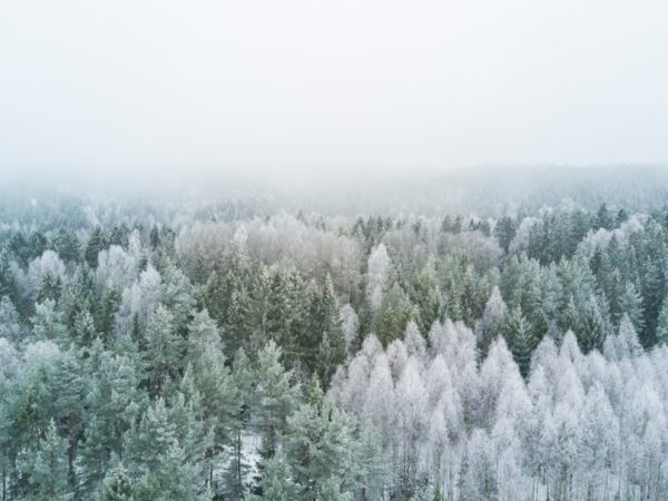 Photo Winterwarmte: Energiebesparende Tips voor de Koude Maanden