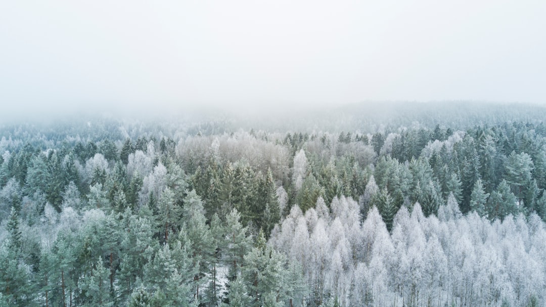 Photo Winterwarmte: Energiebesparende Tips voor de Koude Maanden