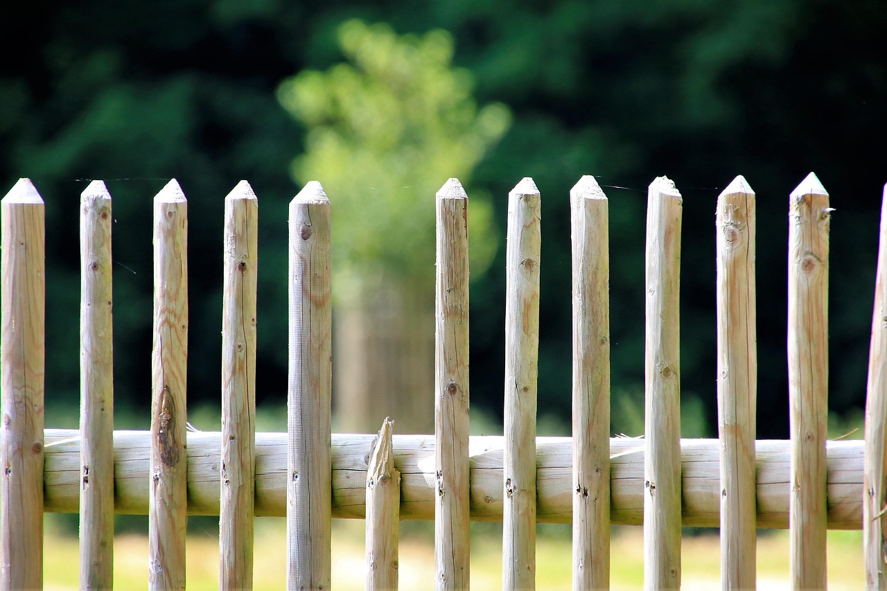 DIY groentewand met creatieve hergebruikte materialen.